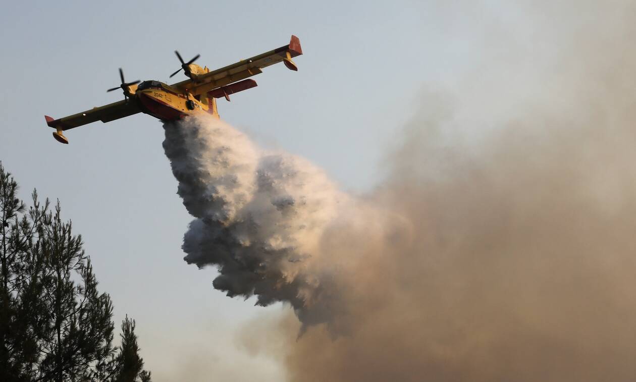 Φωτιά τώρα: Συνεχίζεται ο αγώνας κατά των πυρκαγιών σε Καστανιά, Βασιλίτσι, Λίμνη Εύβοιας