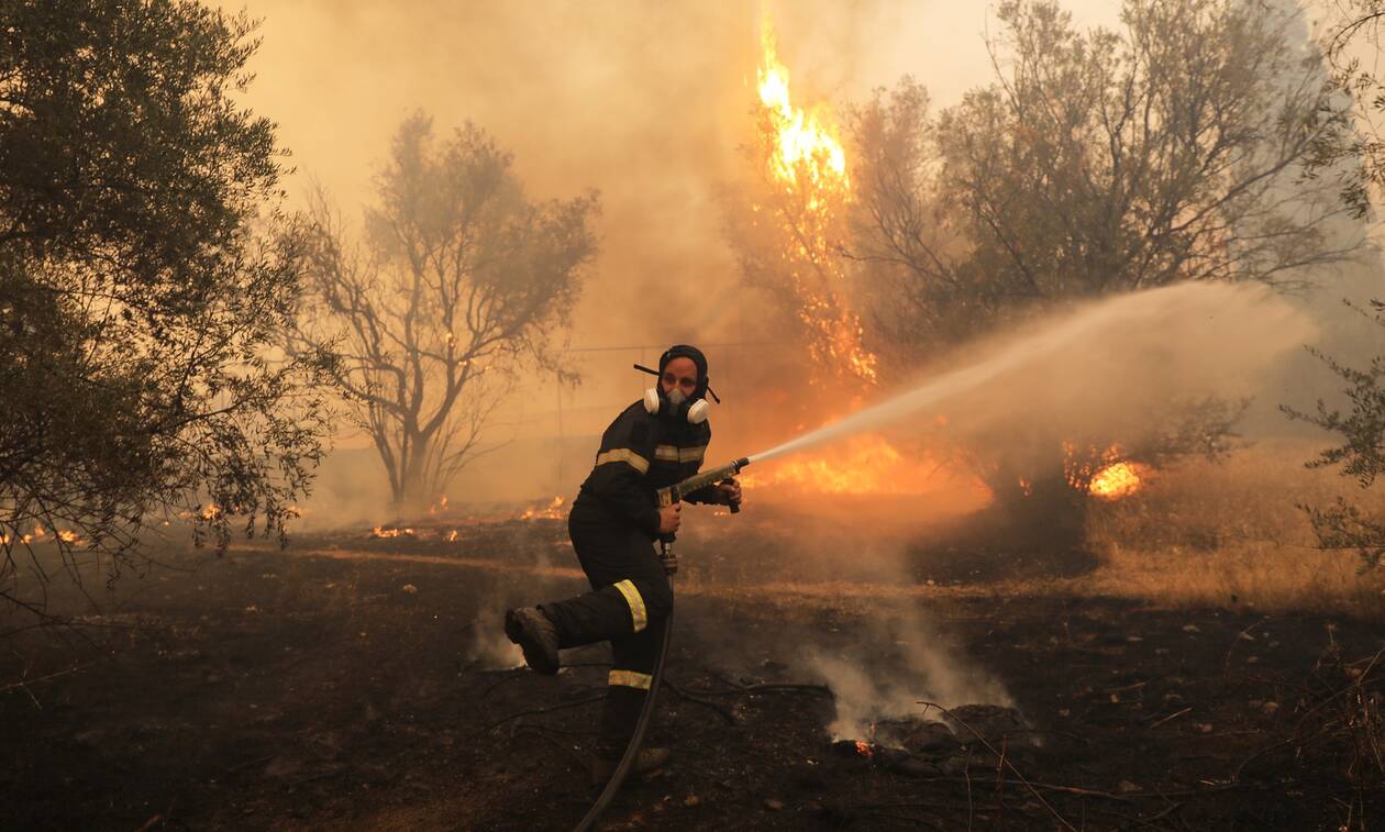 Φωτιά ΤΩΡΑ: Μεγάλη πυρκαγιά στο Μαρτίνο Φθιώτιδας