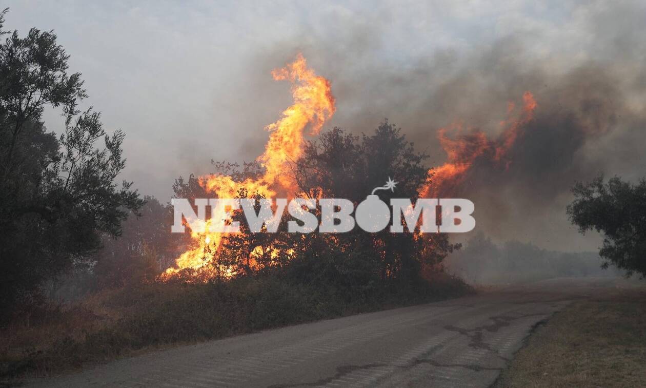 Δήμαρχος Ωρωπού: Η φωτιά βρίσκεται στα 30 μέτρα από την Εθνική Οδό