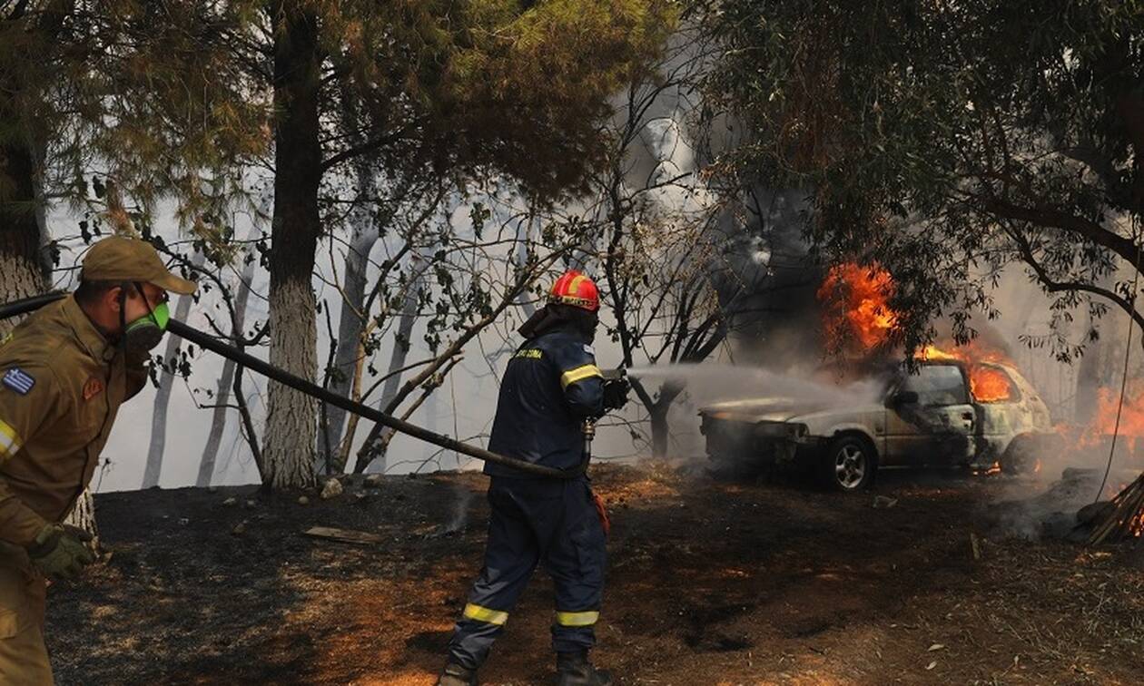 Το μήνυμα του ΠΑΟΚ για τις φωτιές: «Κουράγιο Ελλάδα! Ενωμένοι θα ξεπεράσουμε αυτό το δράμα»