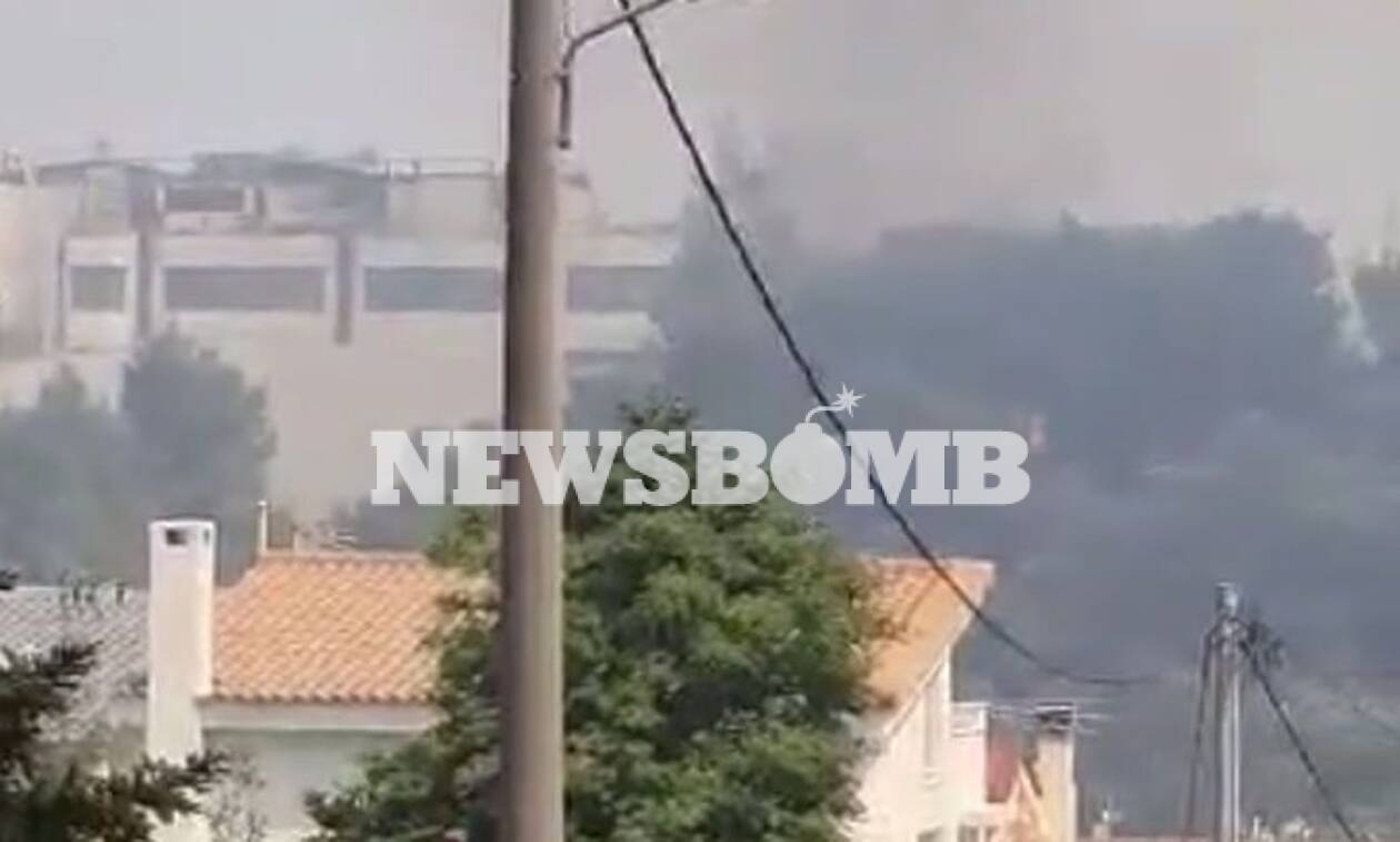 Φωτιά ΤΩΡΑ: Μάχη στο Κρυονέρι δίπλα σε εργοστάσια – Επιχειρούν εναέρια μέσα