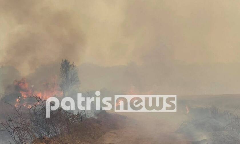 Φωτιά Αρχαία Ολυμπία: Εγκλωβισμένοι 4 κάτοικοι στα Βίλλια σε αγροικία - Eκκένωση του χωριού Μουριά