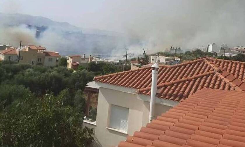 Φωτιές - Κρήτη: Υπό έλεγχο η πυρκαγιά στις Γούρνες - Νέο μέτωπο στο Δεμάτι του δήμου Μινώα Πεδιάδος