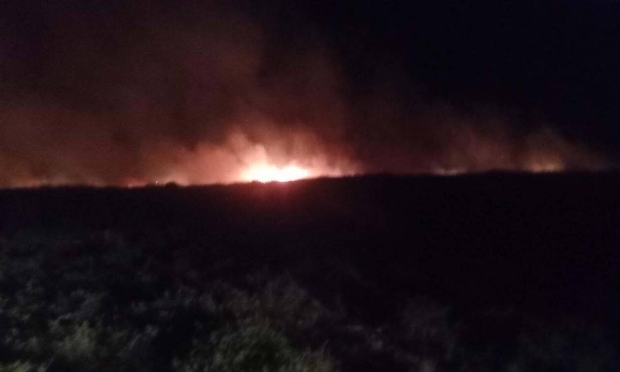 Φωτιά στη Λάρισα: Νέα πυρκαγιά ΤΩΡΑ στο Δίλοφο