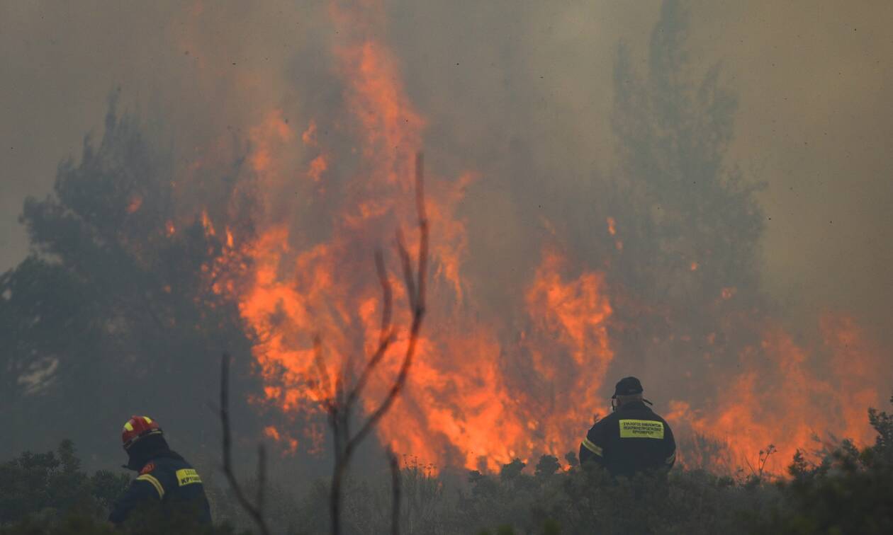 Φωτιά στην Ηλεία: Αναζωπύρωση στη Νεμούτα - Νέο μεγάλο μέτωπο απειλεί σπίτια