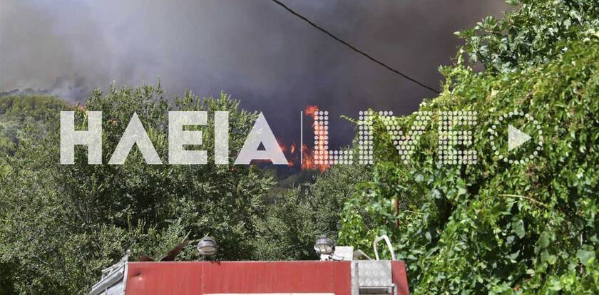 Φωτιά στην Ηλεία: Απόπειρα εμπρησμού στην Αρτέμιδα Ζαχάρως