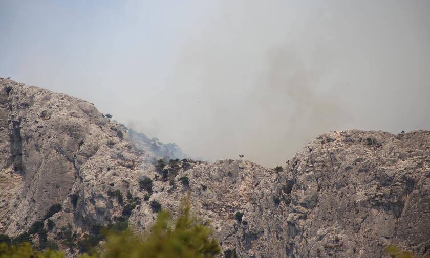 Φωτιά ΤΩΡΑ: Σε εξέλιξη πυρκαγιά στον Άγιο Θωμά Ηρακλείου Κρήτης	
