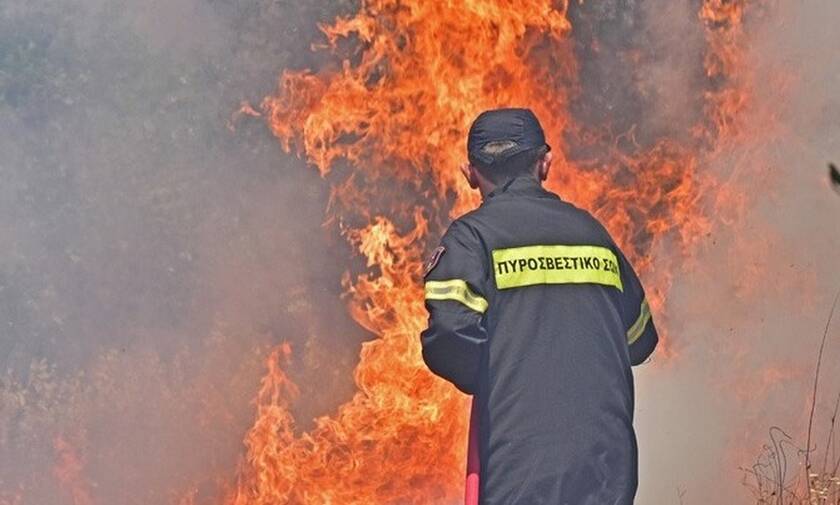 Φωτιά στην Λακωνία: Μάχη στη δύσβατη περιοχή της Δεσφίνας για τους πυροσβέστες