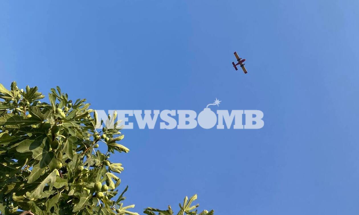 Ζάκυνθος: Έπεσε αεροσκάφος που επιχειρούσε στη φωτιά - Σώος ο πιλότος