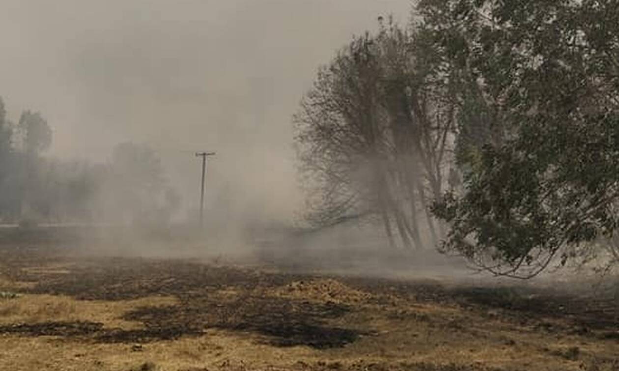 Φωτιά στη Γορτυνία: Συναγερμός από το 112 - Μηνύματα για να εκκενωθούν 19 οικισμοί