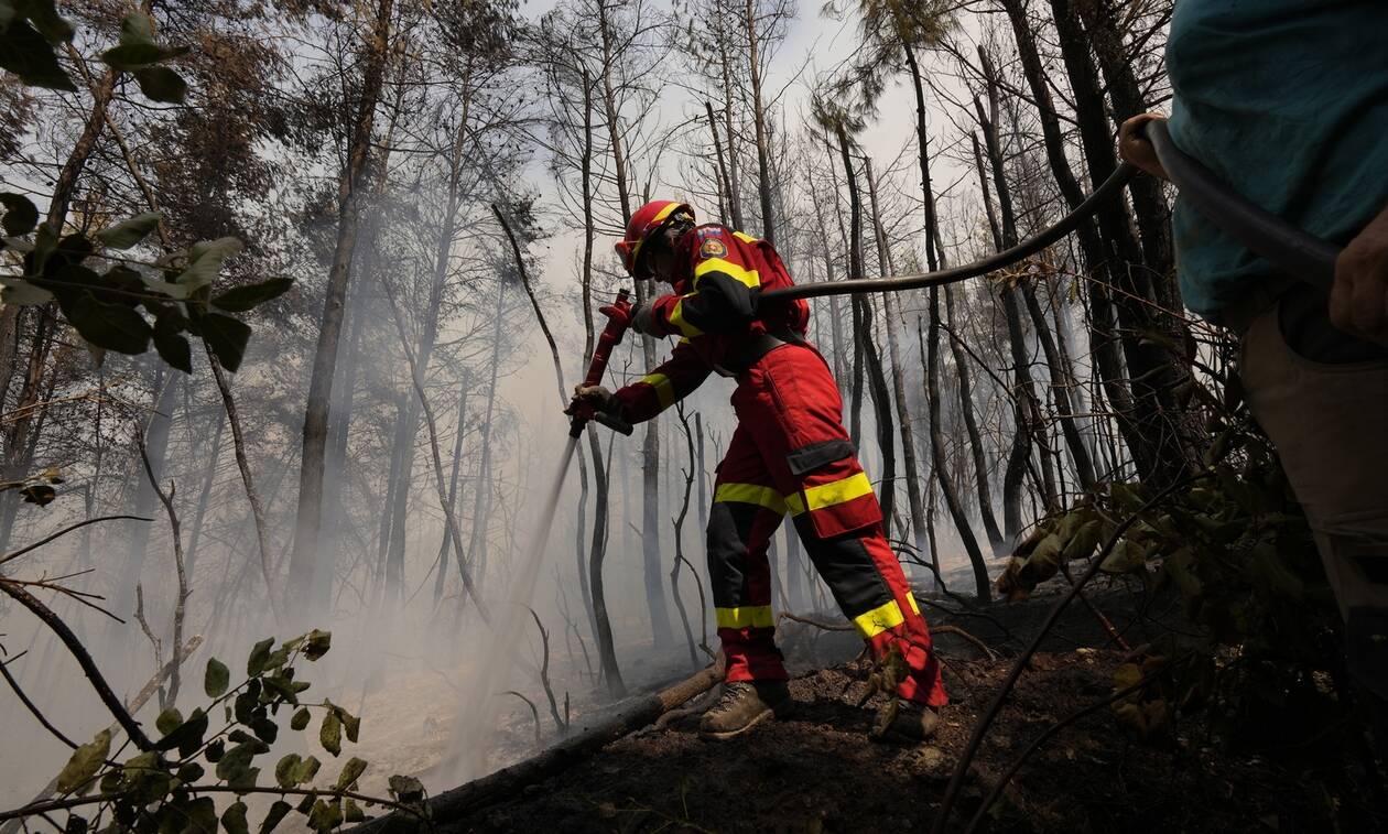 Εκτός από την Ελλάδα, πυρκαγιές σαρώνουν Ιταλία, Αλγερία και Ρωσία