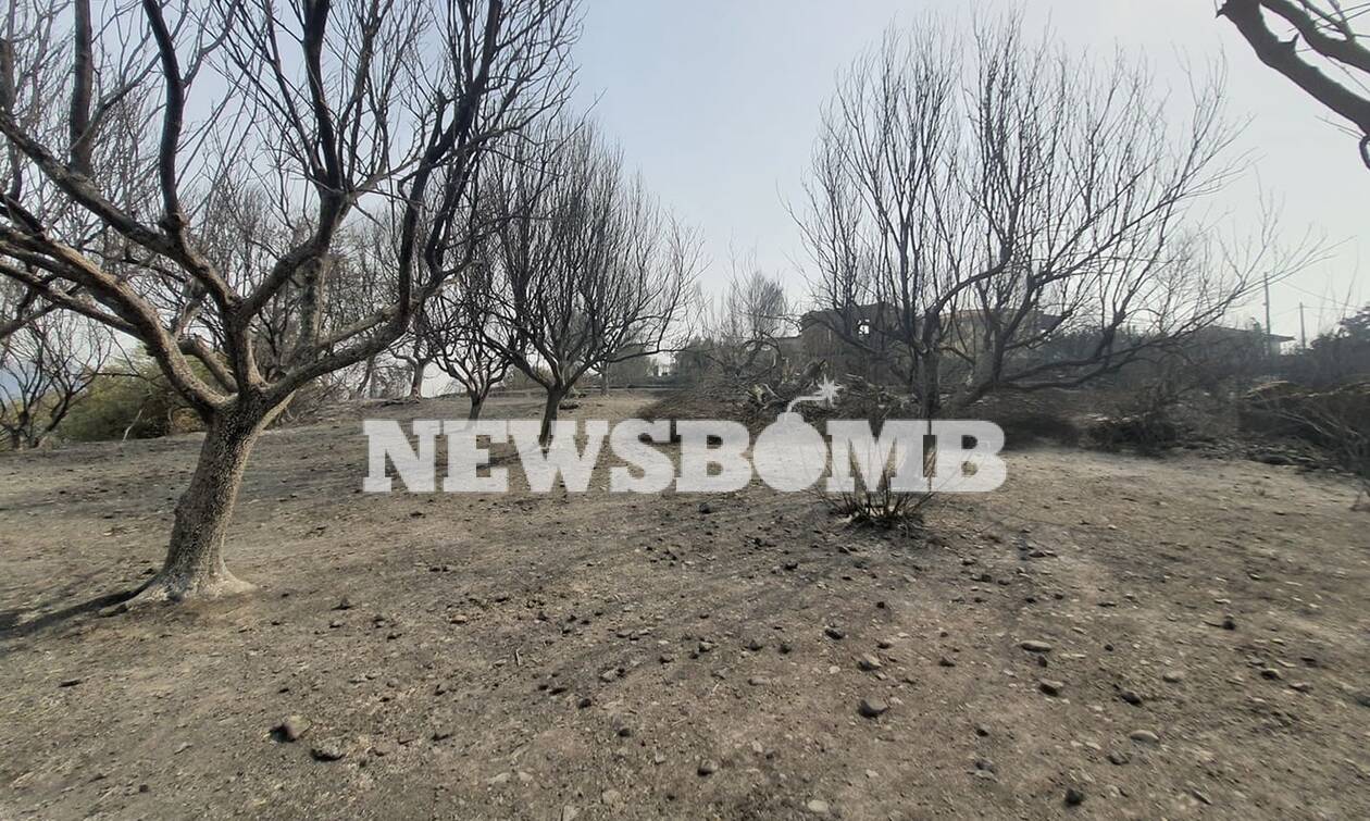 Το Newsbomb.gr στην Αρκαδία: Όλεθρος από τη φωτιά στα χωριά που πέρασε το μέτωπο