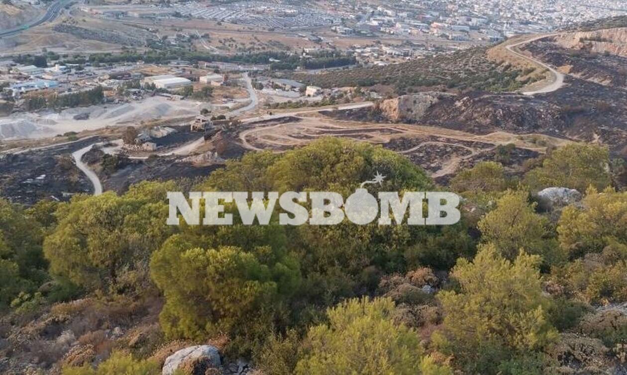 Οδοιπορικό Newsbomb.gr στο Ποικίλο Όρος: Προστατεύοντας τον πνεύμονα πρασίνου της Δυτικής Αττικής