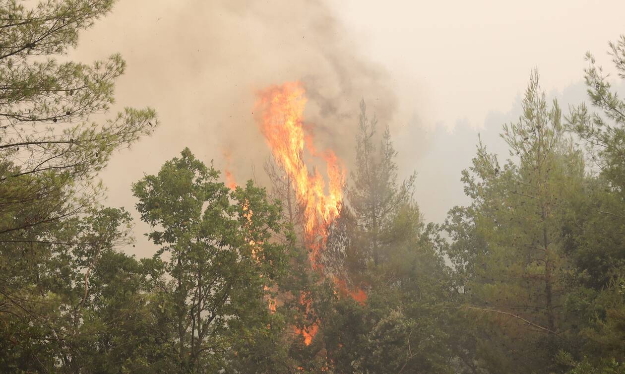 Φωτιά τώρα: Πυρκαγιές σε Μάνδρα και Πόρτο Γερμενό