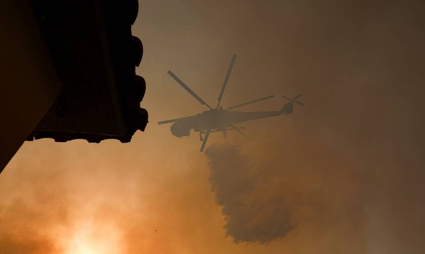 Λέκκας στο Newsbomb.gr: Πού οφείλονται οι πυρκαγιές - Τι πρέπει να γίνει για την αντιμετώπισή τους
