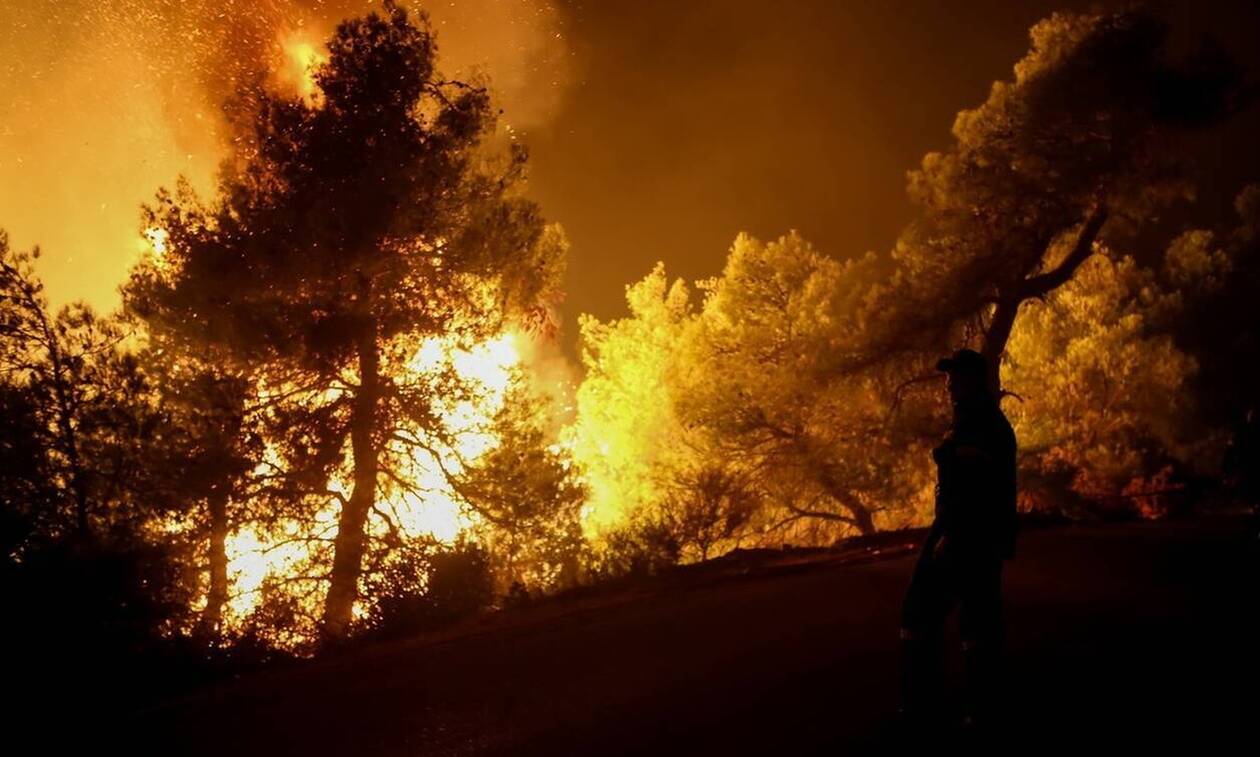 Φωτιά στην Ύδρα - Πυρκαγιά σε δασική έκταση
