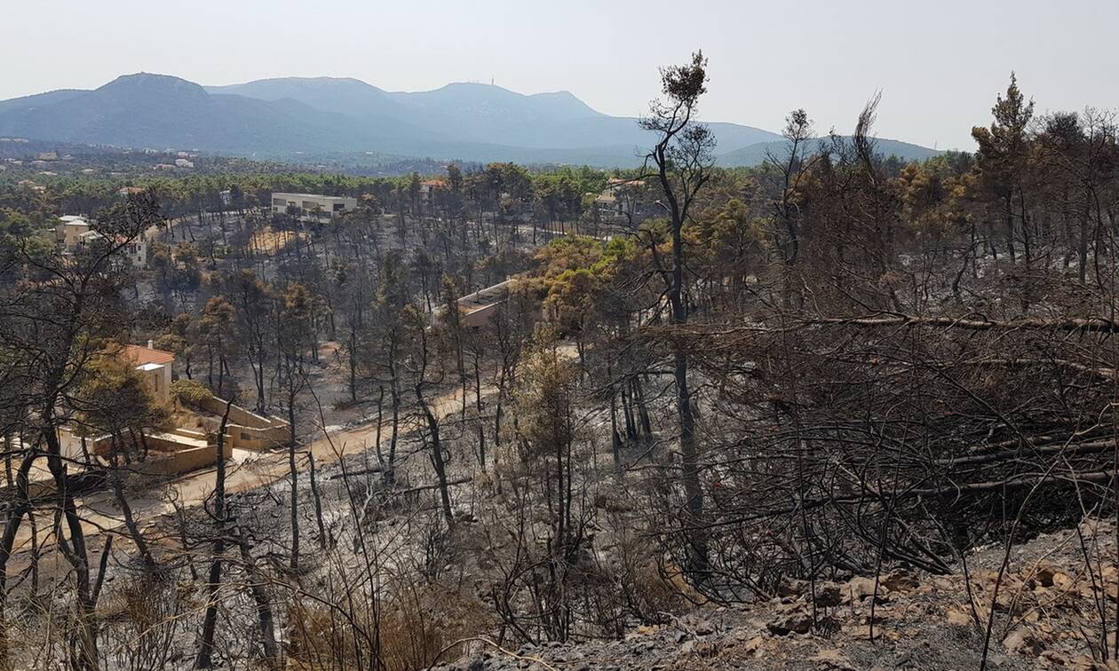 Φωτιές στην Ελλάδα - Πυρόπληκτοι: Πότε θα ανοίξει η πλατφόρμα για τις αποζημιώσεις