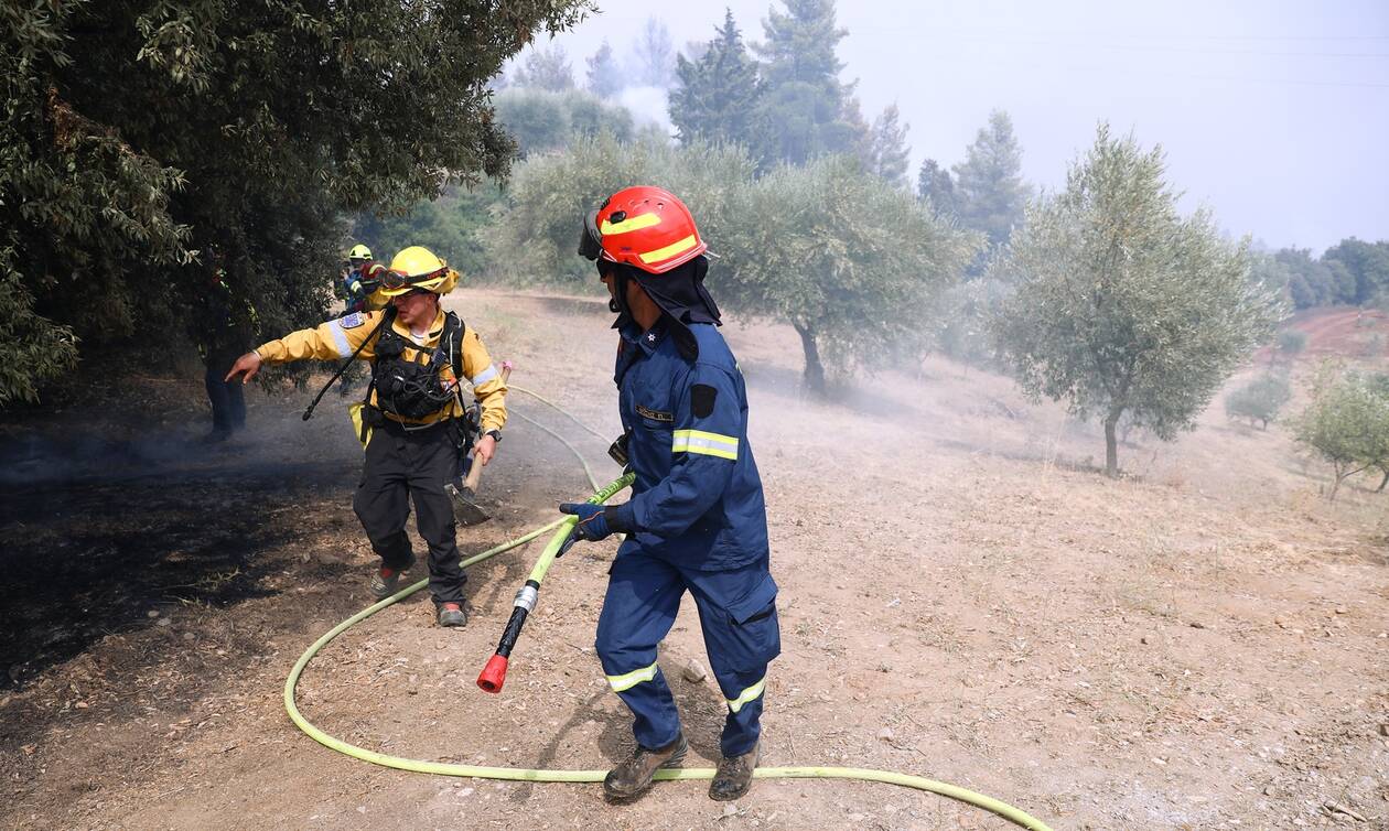 Φωτιά στη Γορτυνία: Ολονύχτια μάχη με διάσπαρτες εστίες φωτιάς έδωσαν οι πυροσβεστες