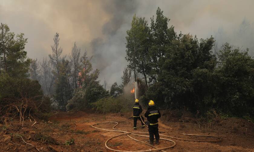 φωτιά Ελλάδα Γορτυνία πυροσβεστική