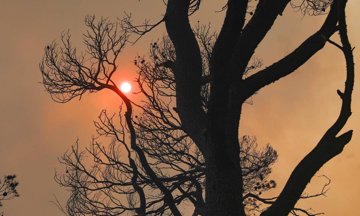 Φωτιές στην Ελλάδα: Αύξηση 450% φέτος στις καμένες εκτάσεις – Στάχτη πάνω από 1,1 εκατ. στρέμματα