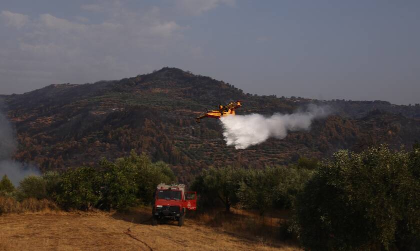 Πολύ υψηλός κίνδυνος πυρκαγιάς σχεδόν στη μισή Ελλάδα για το Σάββατο 14 Αυγούστου