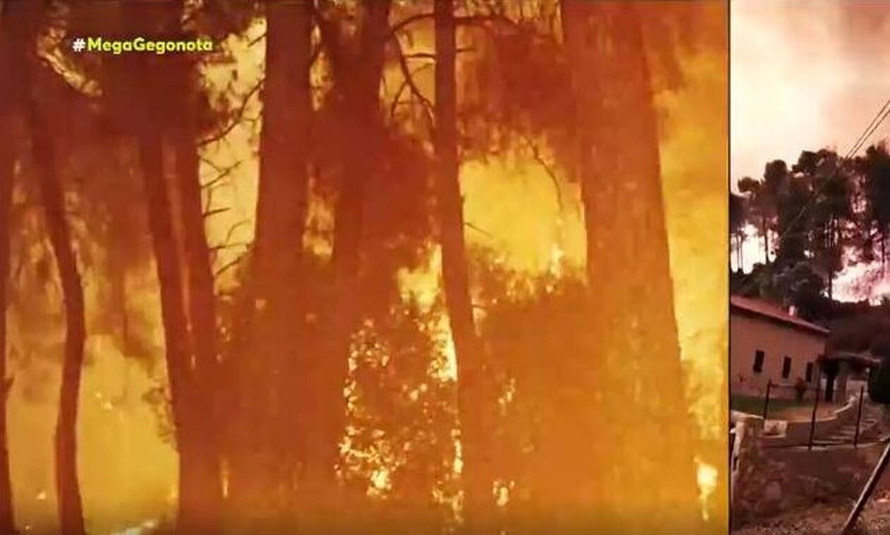 «Θεέ μου σε παρακαλώ…»: Συγκλονιστικά βίντεο από τις φωτιές σε Ροβιές και Γούβες