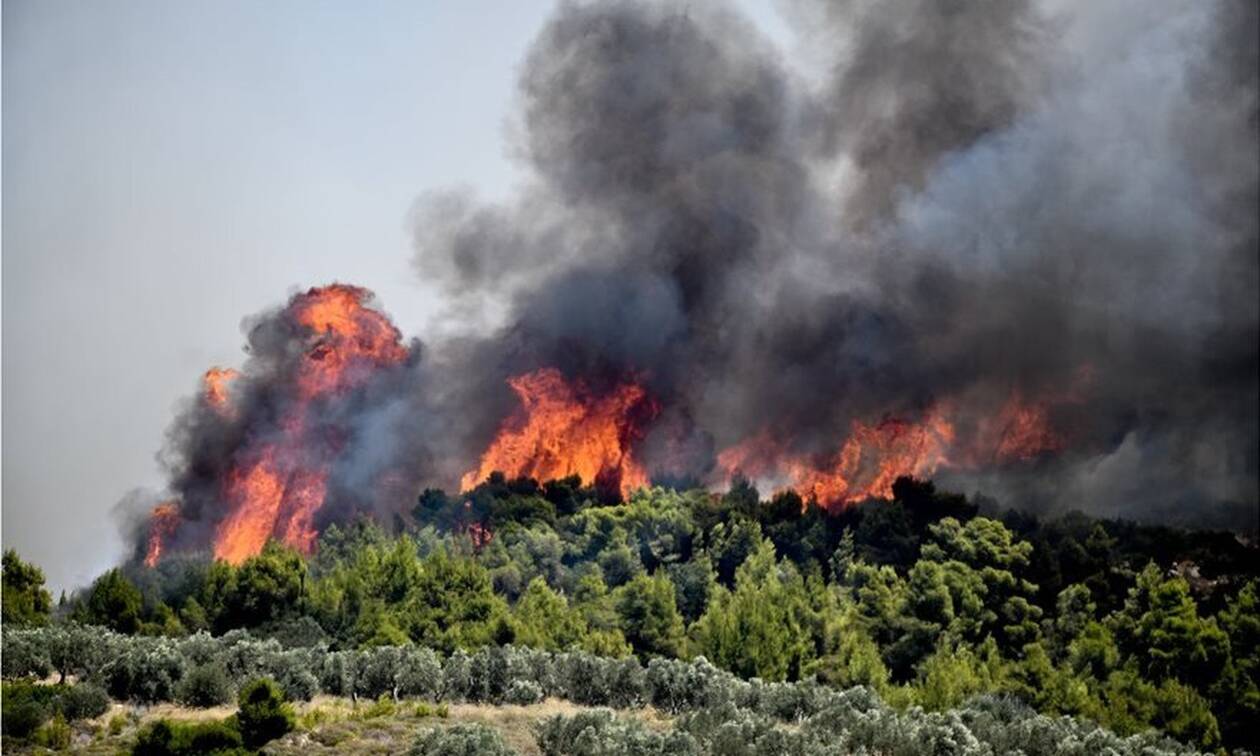 Πολύ υψηλός κίνδυνος πυρκαγιάς για την Κυριακή (15/8) - Ποιες είναι οι «πορτοκαλί» περιοχές