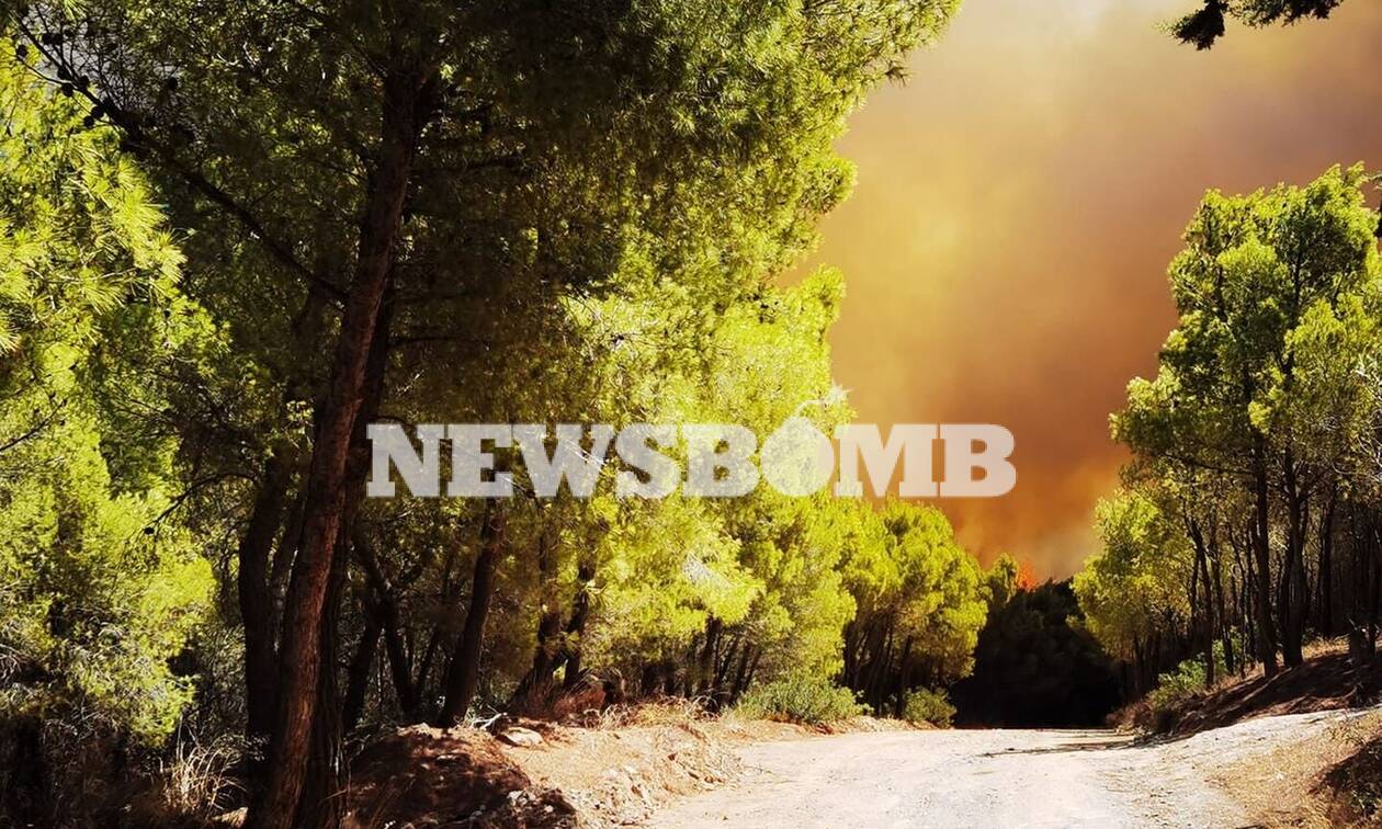 Φωτιά στην Κερατέα: To Newsbomb.gr στο μέτωπο της πυρκαγιάς