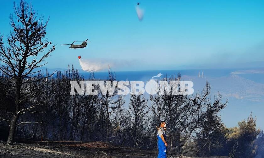 Φωτιά Βίλια: Μάχη για να μην φτάσει σε οικισμούς - Στο Όρος Πατέρα έφτασαν οι φλόγες