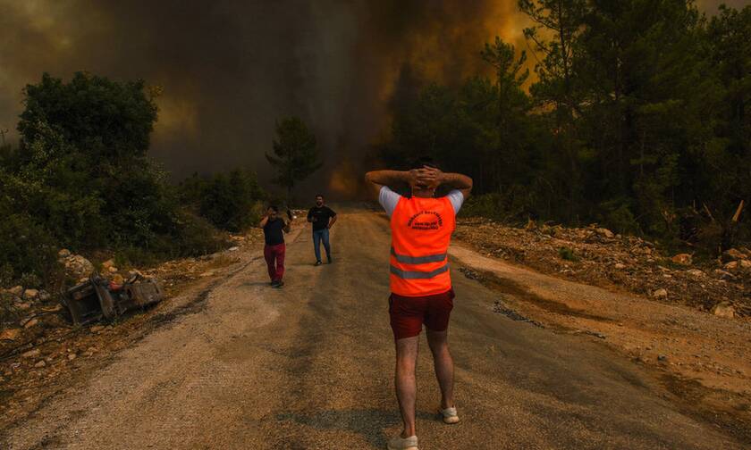 Στην εποχή των Big Fires – Πώς η εγκατάλειψη της γεωργίας ευνοεί τις δασικές πυρκαγιές