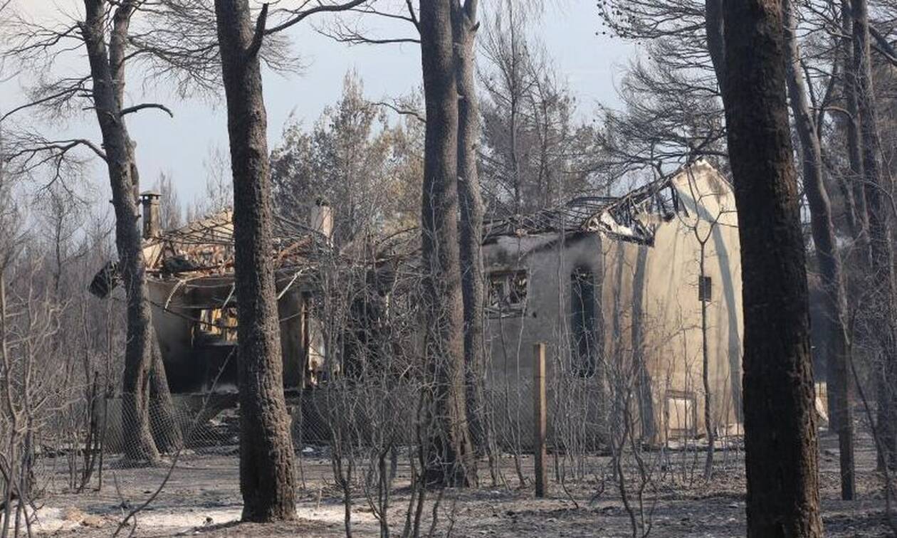 Οδοιπορικό Newsbomb.gr στα Βίλια: Η καμένη γη, οι Πολωνοί πυροσβέστες και οι εργασίες αποκατάστασης