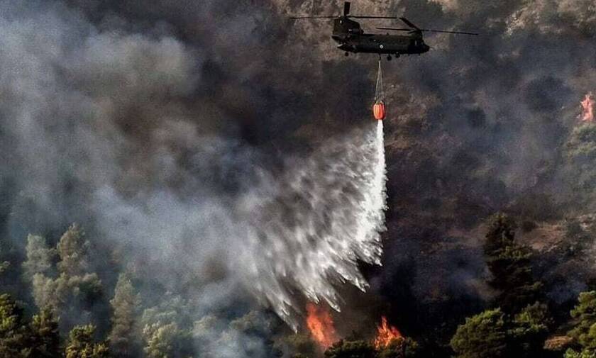 Φωτιά ΤΩΡΑ: Με 11 εναέρια μέσα η κατάσβεση στα Βίλια - Οριοθετημένη η πυρκαγιά στην Κερατέα