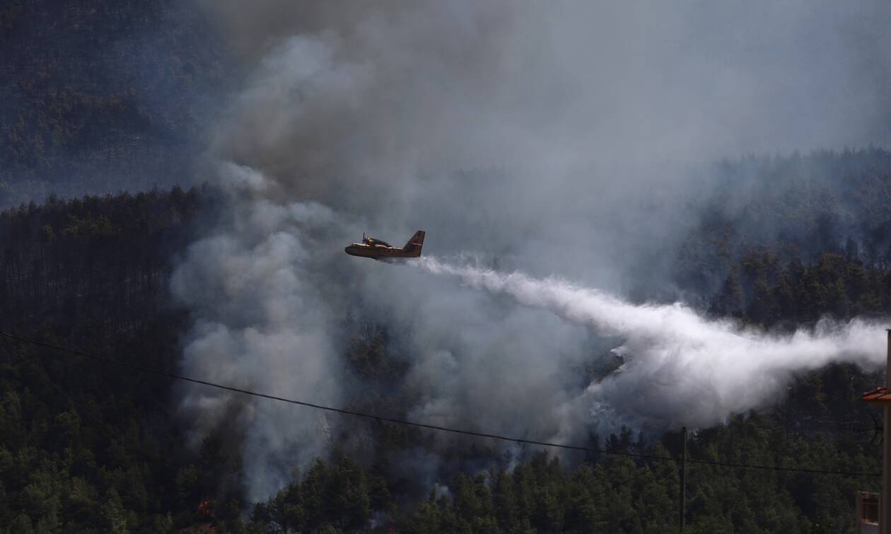 Φωτιά στα Βίλια: Κοντά σε Παλαιοχώρι και Θέα οι φλόγες - Έχουν καεί πάνω από 80.000 στρέμματα δάσους