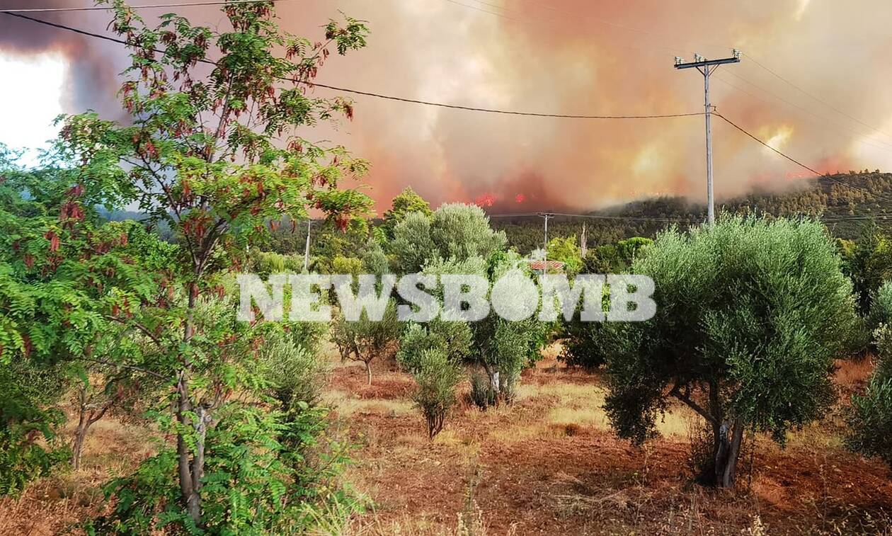 Ρεπορτάζ Newsbomb.gr: Καίει τα πρώτα σπίτια στα Βίλια η φωτιά - Ανεξέλεγκτο το μέτωπο