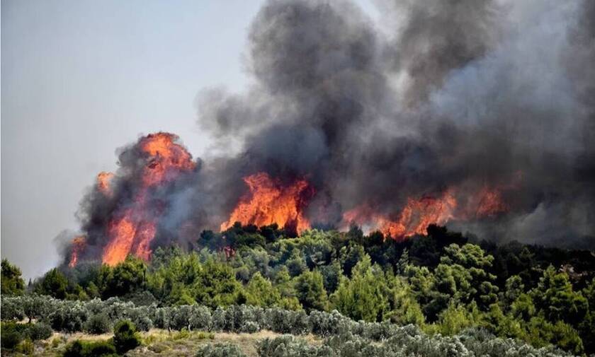 Πολύ υψηλός κίνδυνος πυρκαγιάς για την Παρασκευή (20/8) - Ποιες είναι οι «πορτοκαλί» περιοχές