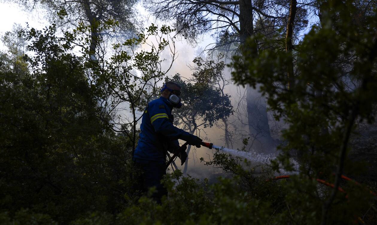 Βίλια: Οριοθετήθηκε η φωτιά - Σε επιφυλακή οι πυροσβεστικές δυνάμεις