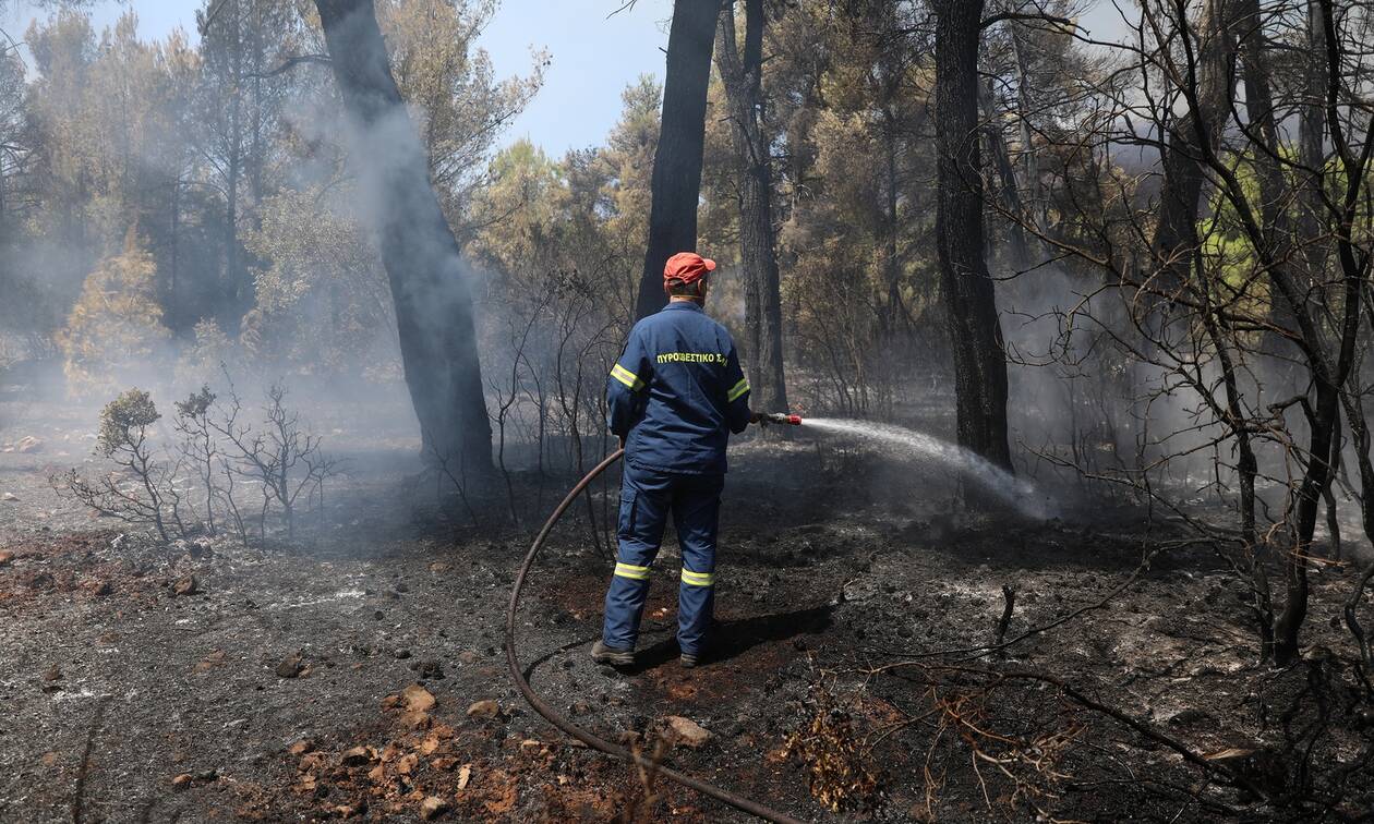 ΣΥΡΙΖΑ: Η κυβέρνηση Μητσοτάκη θέλει να «θάψει» την ΕΔΕ για τους πυροσβέστες που είπαν την αλήθεια