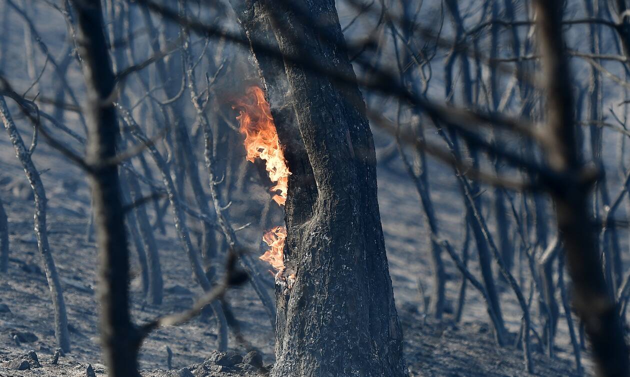 Πολύ υψηλός ο κίνδυνος πυρκαγιάς σε πέντε περιφέρειες τη Δευτέρα