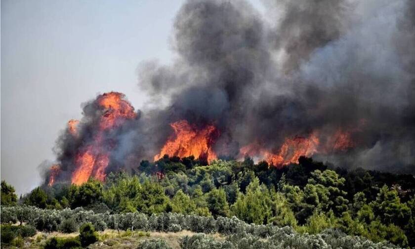 Φωτιά ΤΩΡΑ: 34 δασικές πυρκαγιές εκδηλώθηκαν στη χώρα το τελευταίο 24ωρο