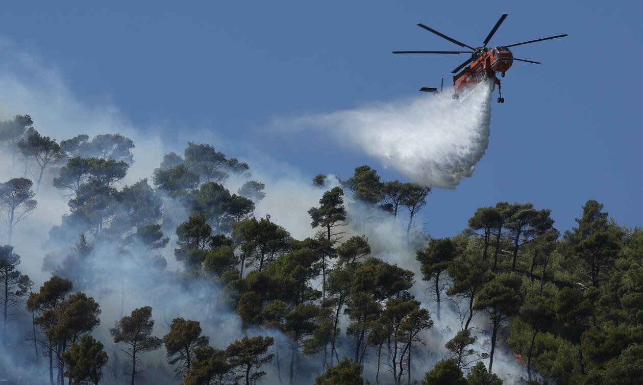 Φωτιά στην Κάρυστο: Οριοθετημένο το μέτωπο – Συνεχίζεται η μάχη των πυροσβεστών