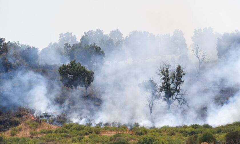 Ιταλία: Από την αρχή του χρόνου κάηκαν 1.580.000 στρέμματα δασικών εκτάσεων στη χώρα
