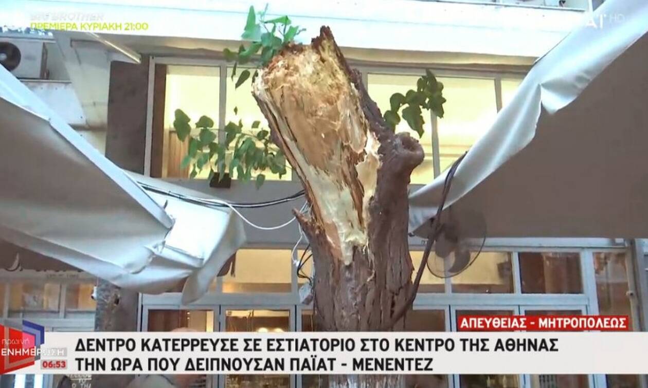 Παρ’ ολίγον ατύχημα για Τζέφρι Πάιατ - Ρόμπερτ Μενέντεζ: Έπεσε δέντρο στο εστιατόριο που γευμάτιζαν