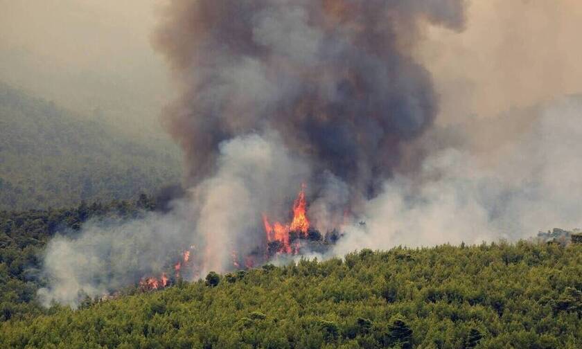 Φωτιά Φθιώτιδα: Οριοθετήθηκε η πυρκαγιά στο Λογγίτσι