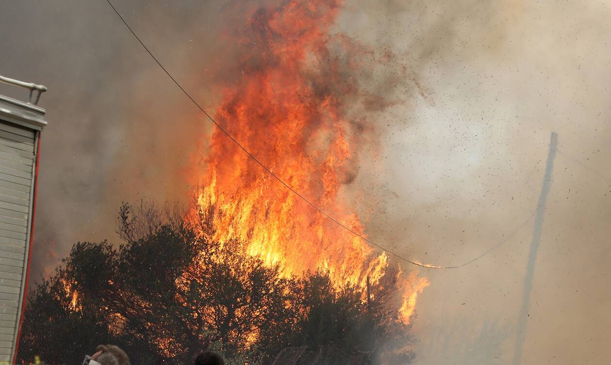 Φωτιά τώρα: Πυρκαγιά στο Κρόκι της Άμφισσας