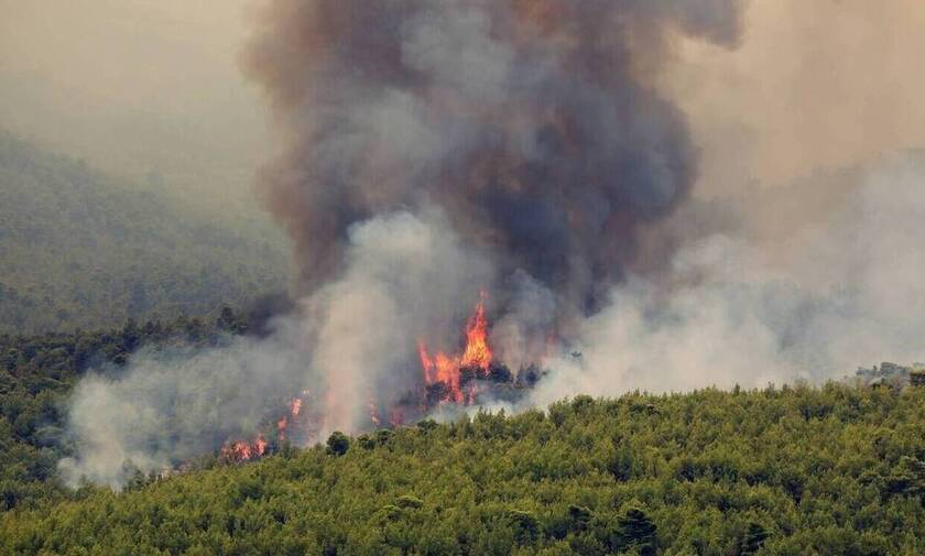 Φωτιά ΤΩΡΑ στο Βροντερό Φλώρινας - Καίει σε δασική έκταση