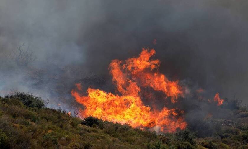 Φωτιά στις Σέρρες: Συνεχίζεται η μάχη με τις φλόγες στην Αλιστράτη