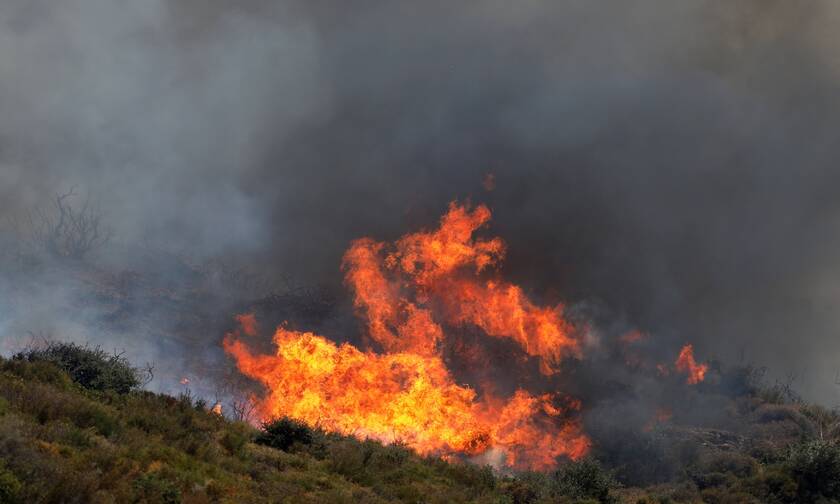 Φωτιά σε γεωργική έκταση στην περιοχή Μαρκόπουλο Ηλείας