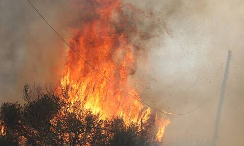 Φωτιές: Οριοθετημένες οι πυρκαγιές σε Βλασαίικα Κορινθίας και Αστροβίτσα Αιτωλικού