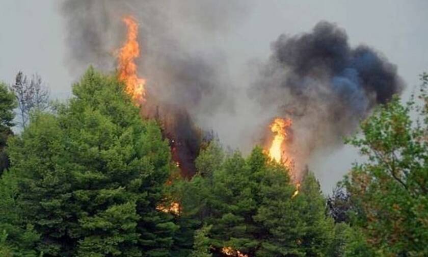 Πολύ υψηλός κίνδυνος πυρκαγιάς για 7 περιοχές την Τρίτη 7 Σεπτεμβρίου