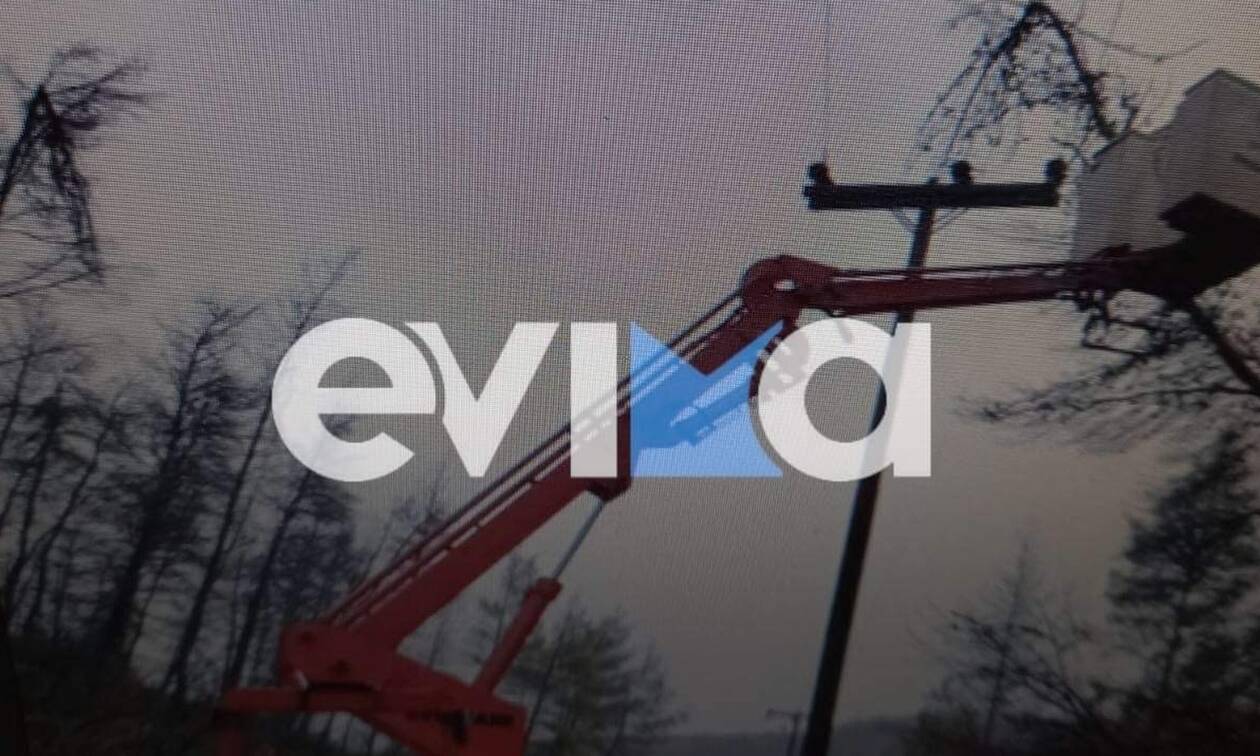 Κακοκαιρία στην Εύβοια: Χωρίς ρεύμα ο οικισμός Μακρυμάλλη από πτώσεις δέντρων